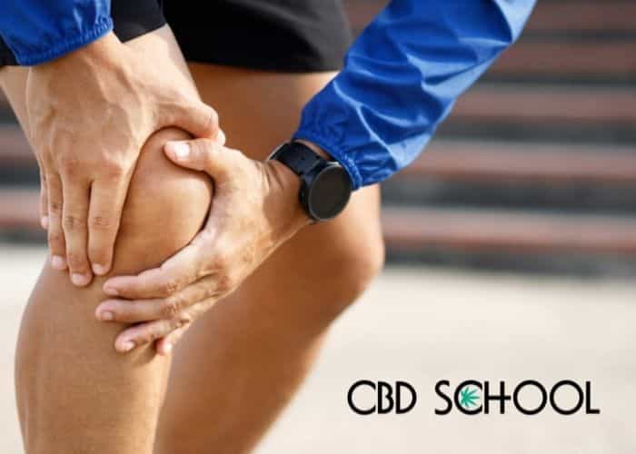 knee arthritis pain