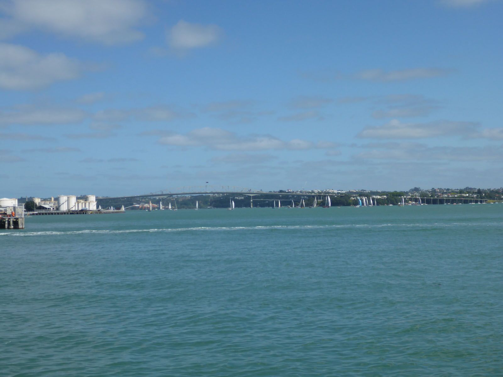 things to do in auckland harbour bridge