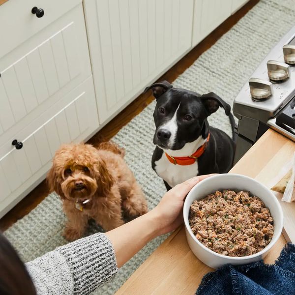 The Farmer's Dog Subscription Dog Food