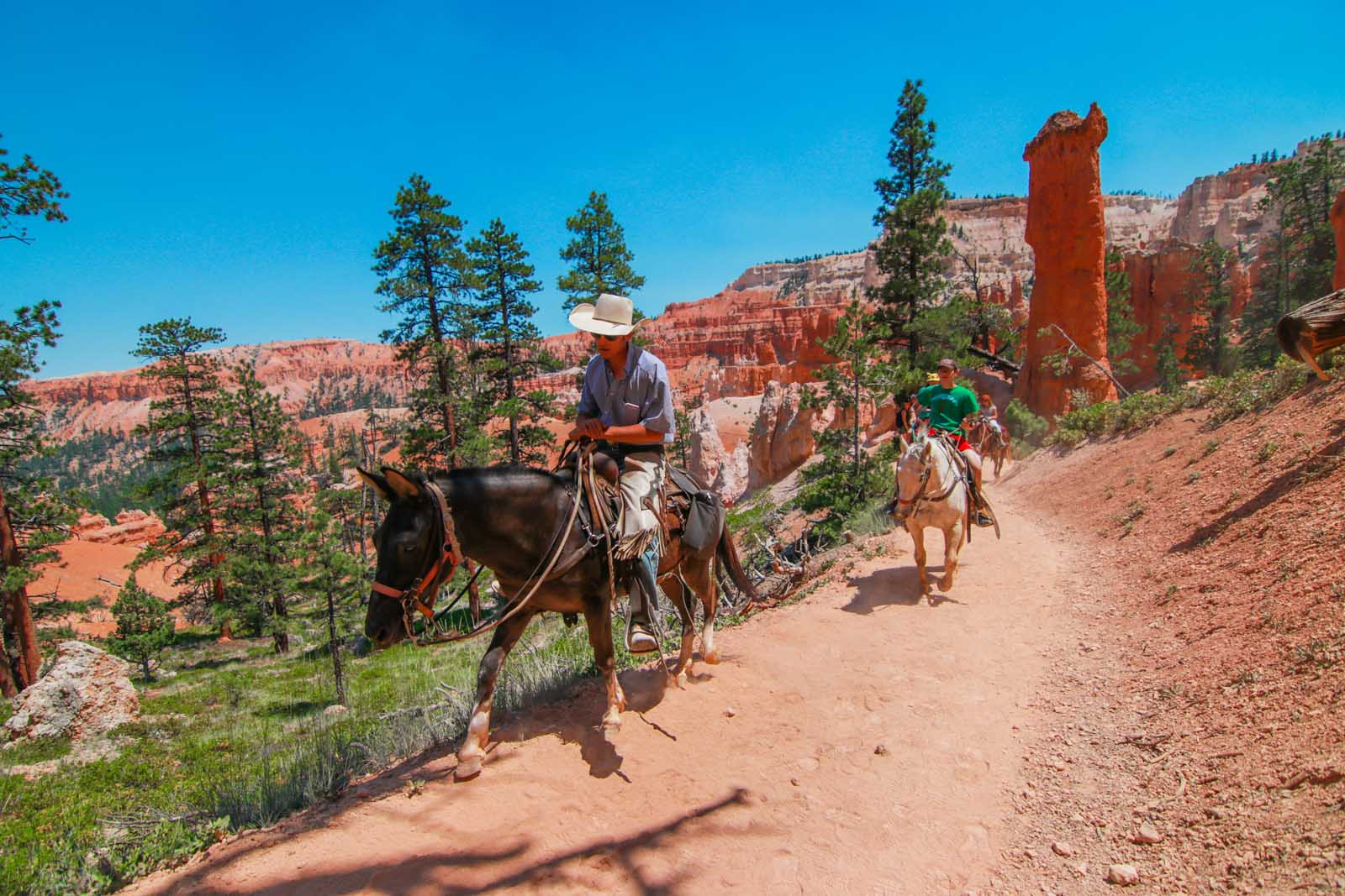 Things to do in Moab Horseback Riding