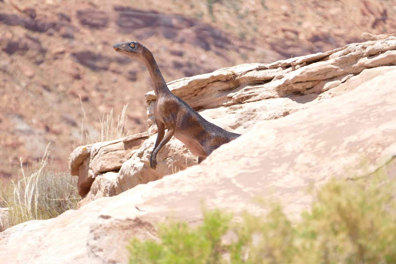 Things to do in Moab Giants Dinosaur Park
