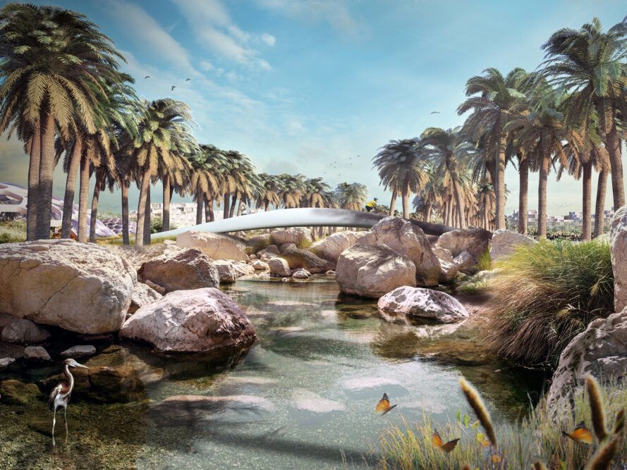 A river covered in rocks with palm trees on both sides
