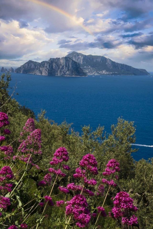 Visit the island of Capri from the Amalfi Coast