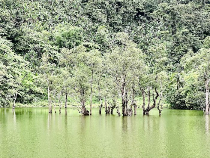 Kabalin-an pond in the twin lakes of Balinsasayao