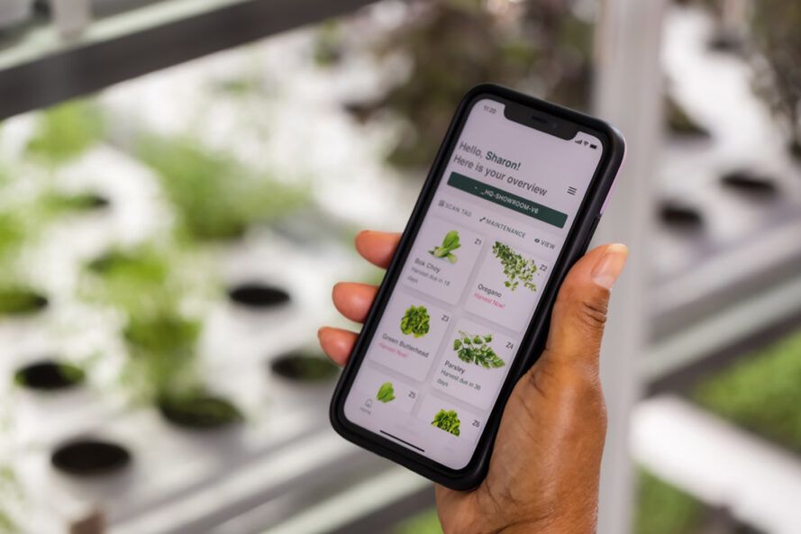 A hand holding a phone opens an app about plants