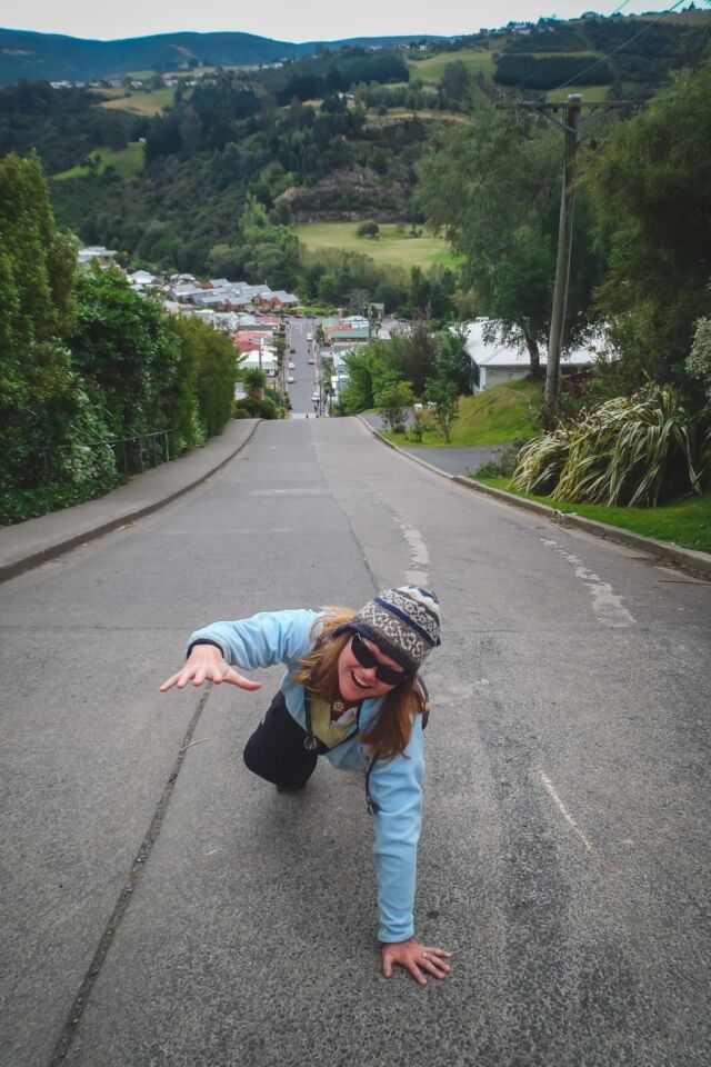 things to do in new zealand world's steepest street