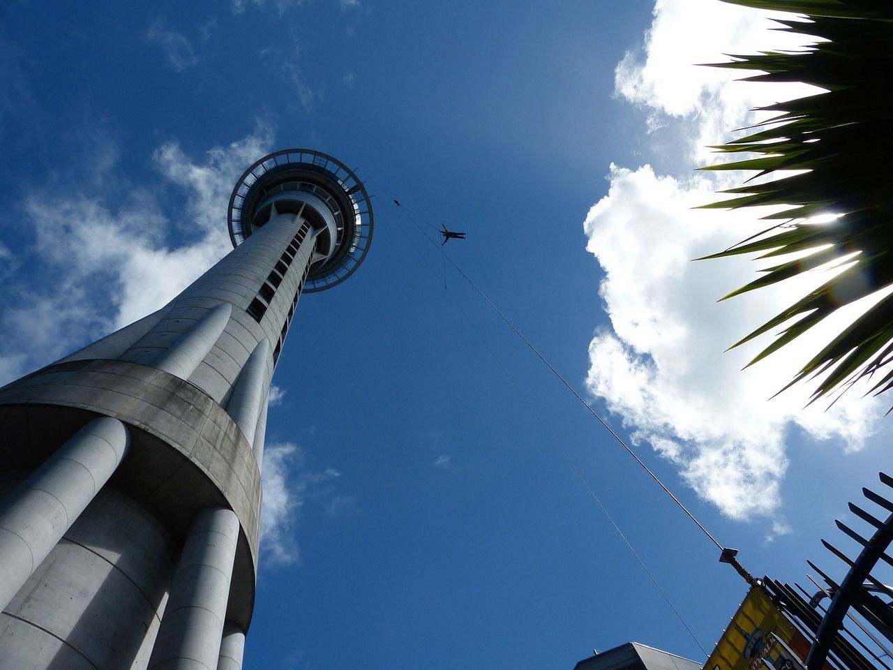 things to do in auckland sky tower