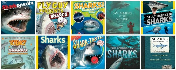 Best Shark Books for Kids (Shark Week)