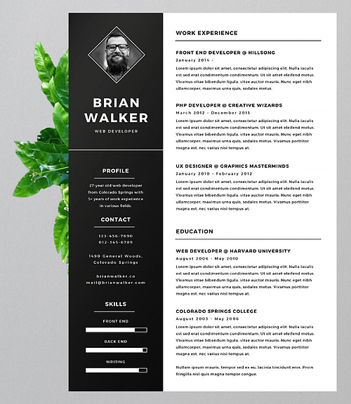 Best Resume Template: A Bold Classic Resume